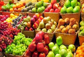 قیمت میوه‌های تابستانه ۲۰ روز دیگر معقول می‌شود 