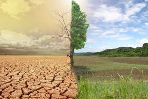 گزینه‌ای جز مدیریت بهتر منابع نداریم/لزوم افزایش کارایی