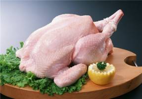 آغاز عرضه گسترده گوشت مرغ در سراسر کشور