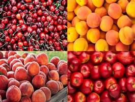 آخرین وضعیت قیمت میوه های تابستانه