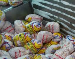عرضه ۱۰ هزار تن مرغ منجمد به بازار