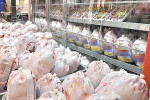 بازار سیاه روزگار مرغداران را سیاه کرده است