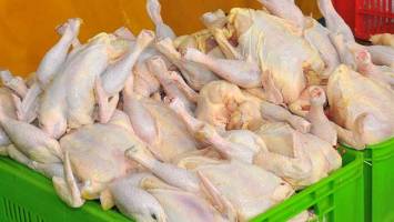 وزارت جهاد کشاورزی و صنعت مکلف به کنترل قیمت مرغ شدند