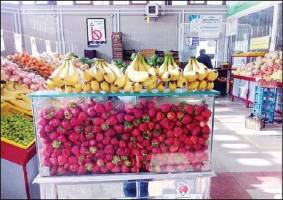 میوه ارزان می‌شود | افزایش کرایه علت اصلی نوسان قیمت گوجه‌فرنگی