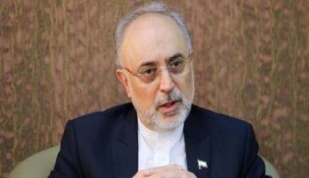 توضیحات صالحی درباره آخرین وضعیت نیروگاه بوشهر