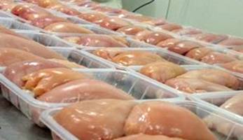 قیمت انواع مرغ در ۲۵ مرداد ۱۴۰۰ / مشکل مرغ در توزیع است، نه تولید