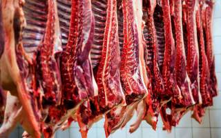 گوشت قرمز در یک ماه گذشته چقدر گران شد؟