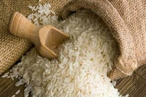 مصوبه ای برای آزادسازی ثبت سفارش برنج وجود ندارد/ احتمال جهش قیمت برنج در بازار خارجی