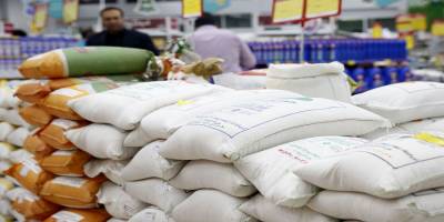 واردات برنج در دستورکار دولت
