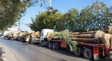 ایران و قطر بازهم به توافق نرسیدند