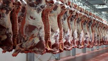 ثبات قیمت گوشت قرمز تا پایان سال