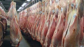  دستور دولت برای واردات گوشت گرم گوسفندی تا سقف ۱۰ هزار تن