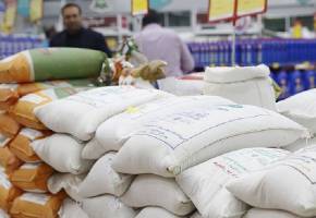 برنج ارزان می‌شود | جدیدترین قیمت برنج ایرانی و خارجی اعلام شد