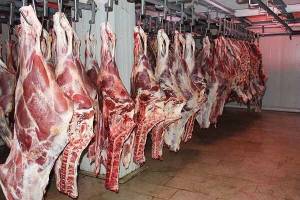 تب قیمت گوشت قرمز بر جان مردم| نرخ گوشت زیر ساطور قصابان