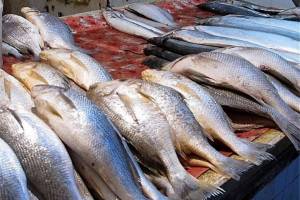 قیمت انواع ماهی در ۲۰ مرداد ۱۴۰۱