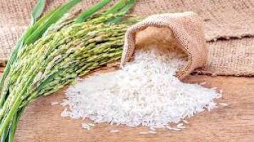رئیس اتحادیه برنج فروشان بابل: خرید و فروش برنج متوقف شده