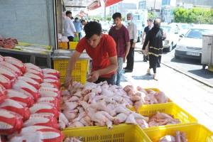 چرا مرغ گران شد؟ | ۳ عاملی که قیمت هر کیلو مرغ را به ۱۰۰هزار تومان رساند