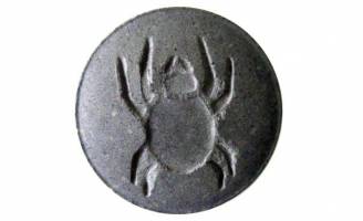 سم پاسی ساس با گاز