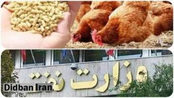 وزیر نفت و بحران مرغ ۲۰۰ هزارتومانی؛به جای ارز وعده تحویل می دهند!