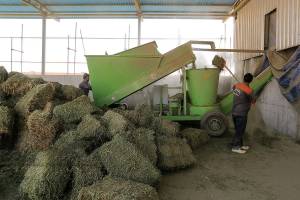 خالی فروشی وزارت نفت و بانک مرکزی/ اثر اختلالات ارزی بیشتر از تحریم‌هاست