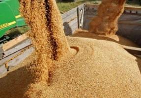 وزارت نفت نتوانست ارز واردات کالاهای اساسی را بپردازد/ ٢٠ فروند کشتی منتظر تخلیه هستند