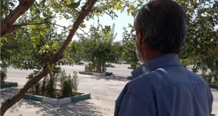 خانواده‌ بی خانمانی که در بهشت زهرا چادر زده اند