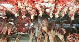 دلایل کاهش تقاضا برای خرید گوشت قرمز تشریح شد