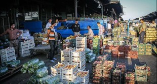 میدان مرکزی میوه و تره بار تهران تغییر نام داد