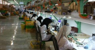 مدیرعامل صندوق حمایت از صنایع الکترونیک:  نیازهای مالی صنایع الکترونیک پوشش داده می شود