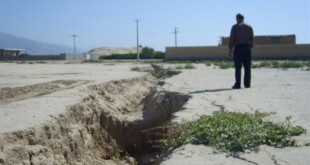 سال 2050؛ یک هکتار زمین برای کشت نخواهیم داشت