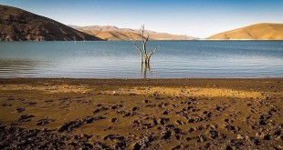 حاضریم برای برون‌رفت از بحران آب به وزارت جهاد کمک کنیم