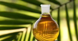 پیشنهاد افزایش تعرفه واردات روغن پالم به دولت