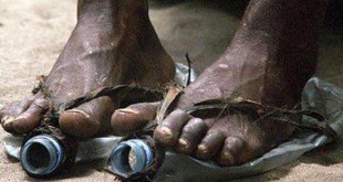 دستورکار بلند پروازانه جدید پایان بخش فقر تا سال 2030