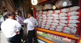 توضیح رئیس اتحادیه پرنده و ماهی در خصوص یک شایعه در فضای مجازی