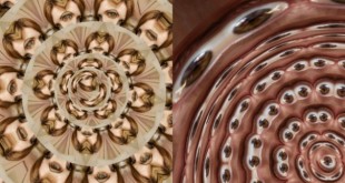 ثبت سلفی های عجیب و خلاقانه با اپلیکیشن Selfie x Selfie