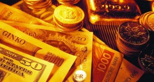 روز بدون نوسان ارزهای دولتی