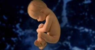 گزارشی از یک مرکز غیرقانونی سقط جنین