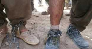 گروگان ۱۶ ساله از چنگال آدم ربایان در پیشوا نجات پیدا کرد