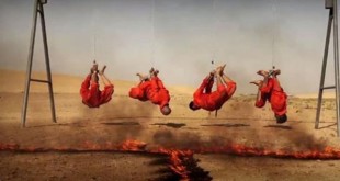 جدیدترین جنایت داعش + تصاویر