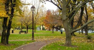 حال پارک های پایتخت خوب است