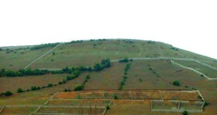 ۶ هزار پرونده زمین‌خواری در محاکم قضائی