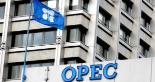 اوپک قیمت نفت زیر 40دلار را هم تحمل می‌کند