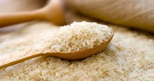 تضمینی برای هزینه کرد ۳۵۰۰ ریالی مابه‌التفاوت واردات در طرحهای برنج نیست