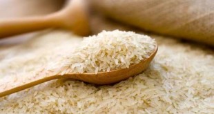 نیازی به واردات برنج نداریم