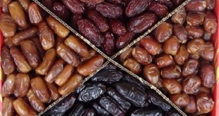 نبود صنایع بسته بندی و فرآوری خرما مشکل اصلی نخل کاران قصرشیرین