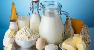 آخرین قیمت‌ها از بازار لبنیات