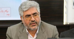 وظیفه مجلس رسیدگی به تمام مشکلات اصناف نیست