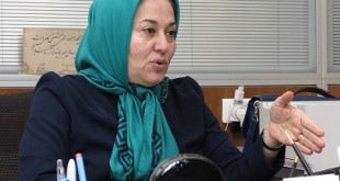 ردپاي كمرنگ بخش خصوصي در آئين‌نامه‌ها