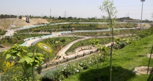 ماکت جسد در یک پارک تهران