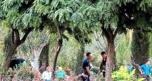 «خاک‌سفید» در شوش